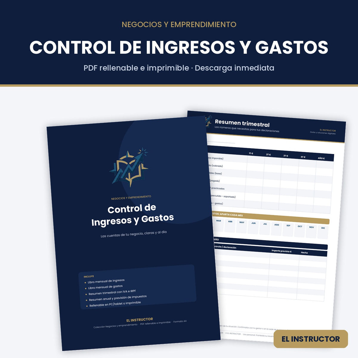 Control de Ingresos y Gastos – Plantilla PDF Rellenable